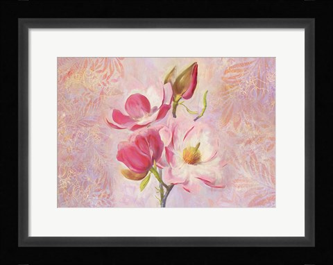 Framed Magnolia Ii Print
