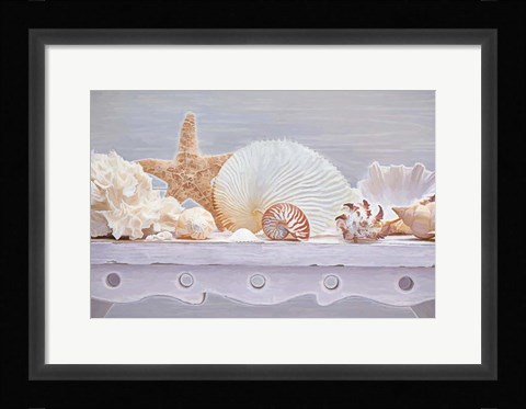 Framed Sea Shell Still Life Print