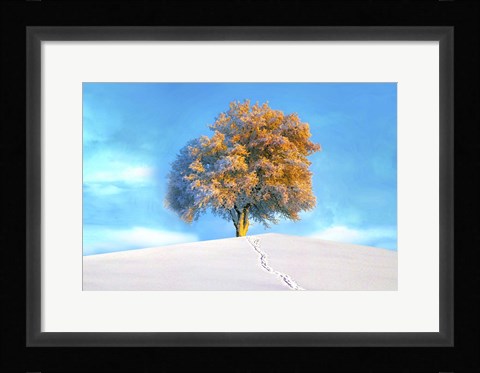 Framed Last Show Print