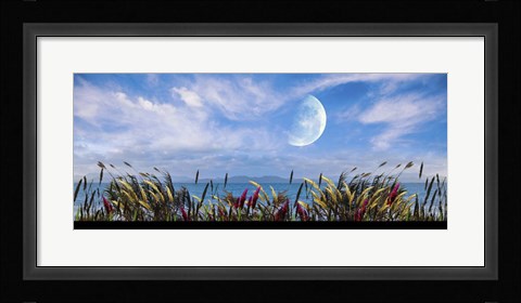 Framed Blowing in the Wind Print