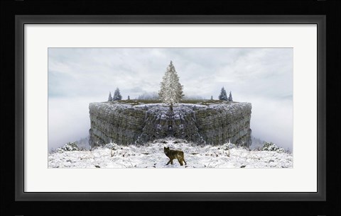 Framed Lone Wolf Print