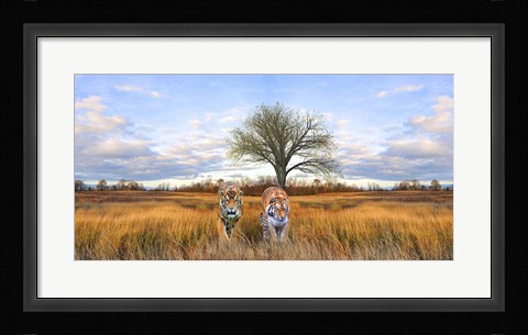 Framed Wild Cats Print