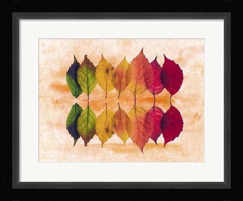 Framed Color Of Autumn Print