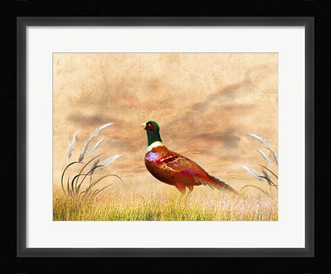 Framed Red Bird Print