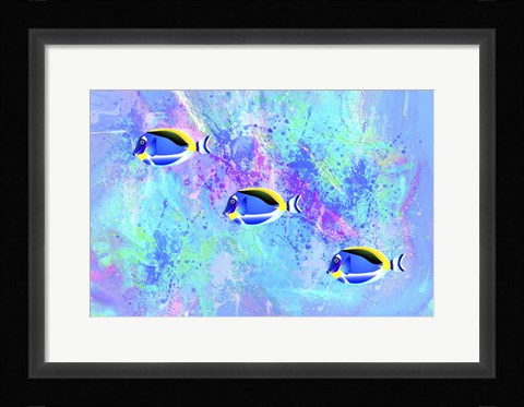 Framed Fish Trio Print