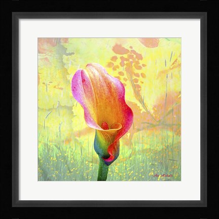 Framed Calla Lily Print