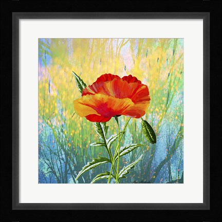 Framed Poppy Flower Print