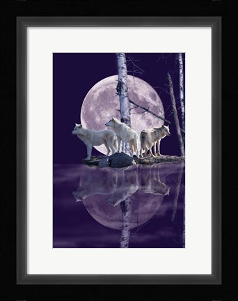 Framed Moonset Point Print