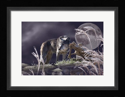 Framed First Frost Print