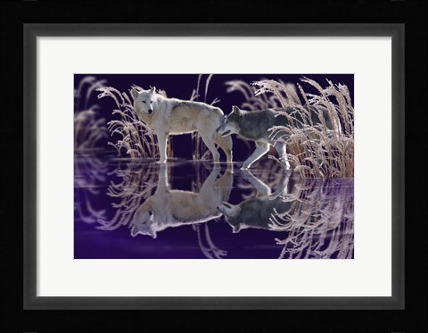 Framed Edge of Winter Print