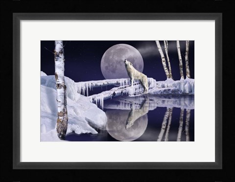 Framed Open Water Print