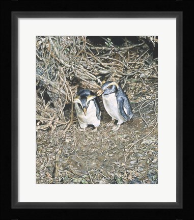 Framed Formal Affair Print