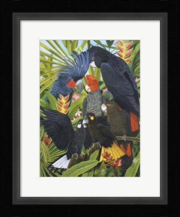 Framed Back In Black Print