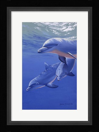 Framed Dolphin Smile Print