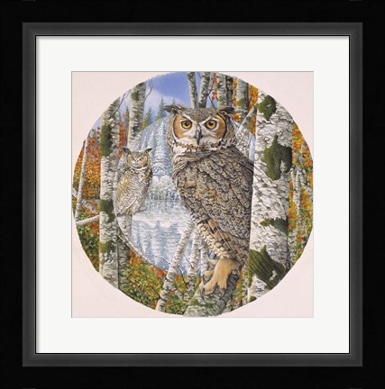 Framed Great Horned Camoflage Print