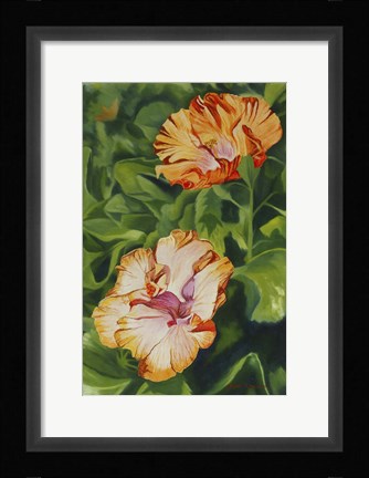 Framed Hibiscus 2 Print