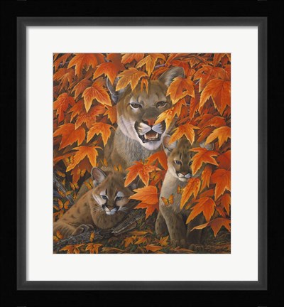 Framed Mountain Colors Print