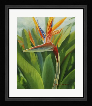Framed Paradise 2 Print
