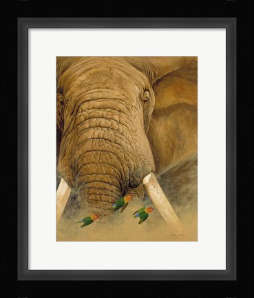 Framed Bull Print