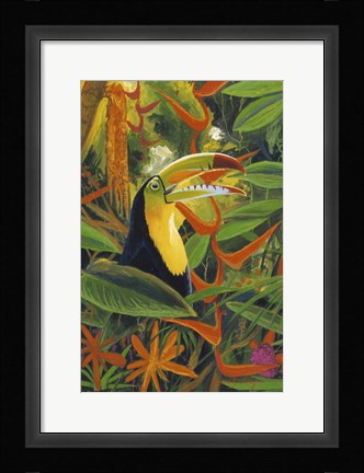 Framed Toucan Colors Print