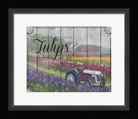 Framed Tractoring Through The Tulips Print