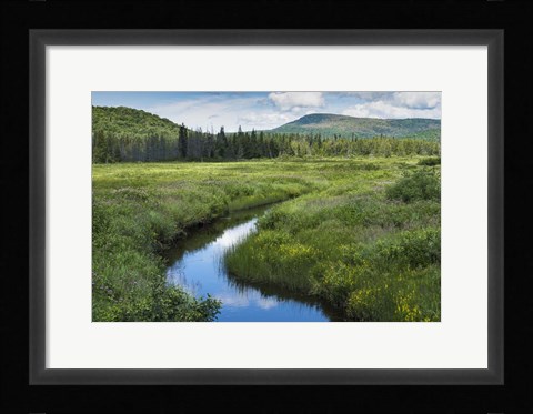 Framed Stream Runs Through It Print