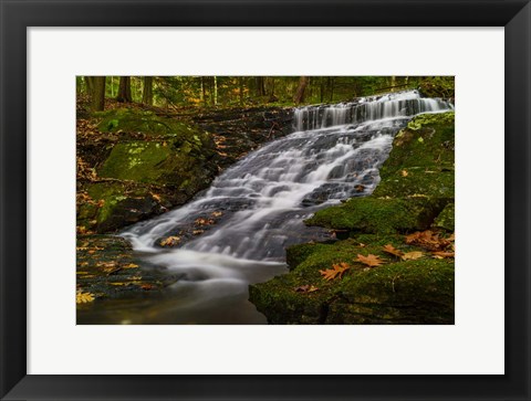 Framed Abbey Pond Cascades Print