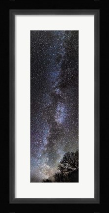 Framed Backyard Milky Way Print