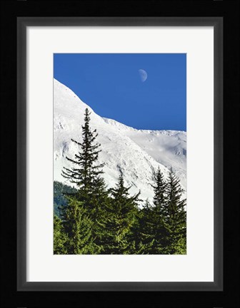 Framed Bluebird Moon Print