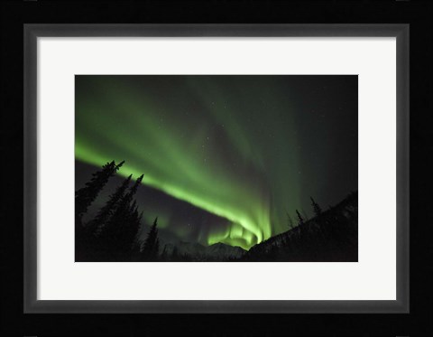 Framed Boreal Sensation Print