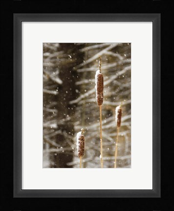 Framed Catch My Drift Print