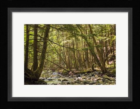 Framed Charles Brown Brook Print