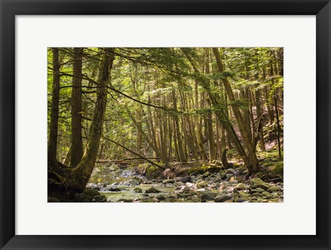 Framed Charles Brown Brook Print