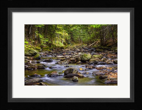 Framed Chase Brook 2 Print
