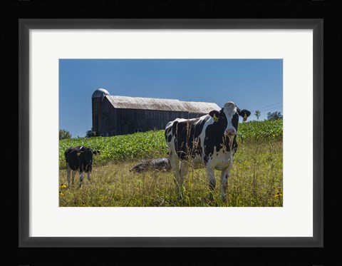 Framed Dairy Farm Print