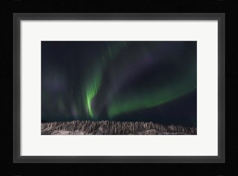 Framed Dancing Ribbons Print