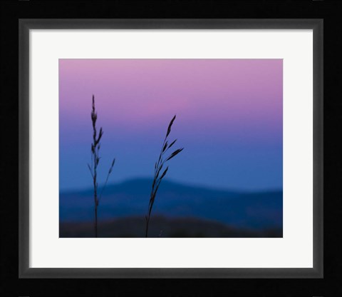 Framed Dusk In A Field Print