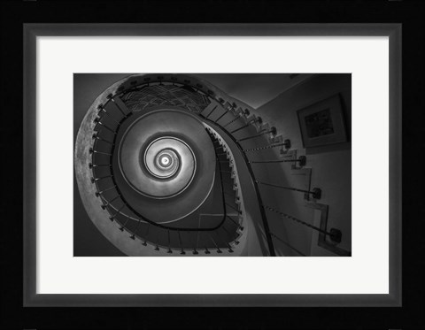 Framed Finding Fibonacci Print