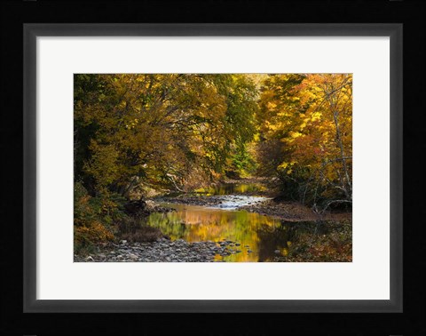 Framed Meandering Colors Print