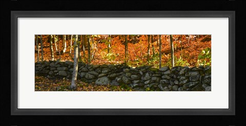 Framed Old Rock Wall Print
