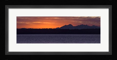 Framed Olympic Mountain Sunset Print