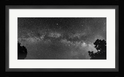 Framed Overarching Print
