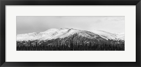 Framed Snowscape Print