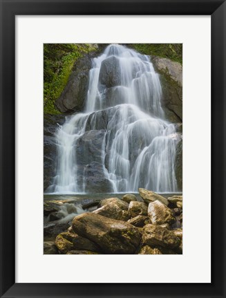 Framed Summer Waterfall Print
