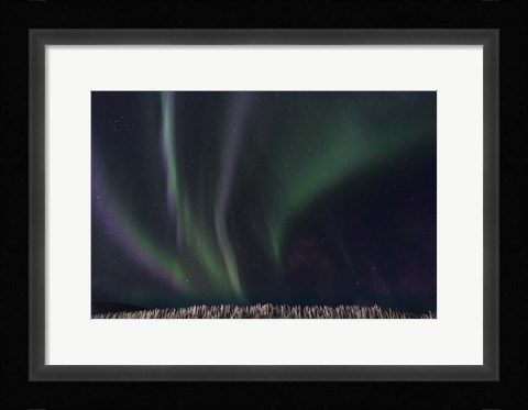 Framed Swirls Of Wonder Print