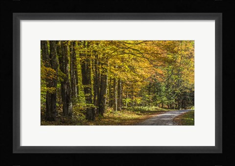 Framed Take Me Home Print