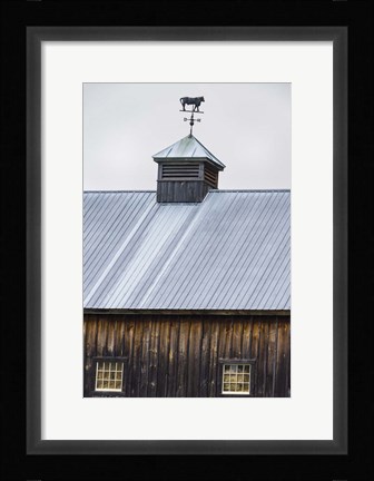 Framed Weathervane Print