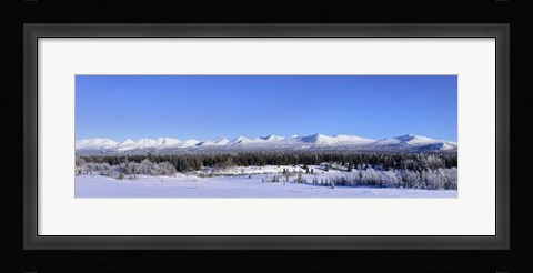 Framed Winter Wilderness Print