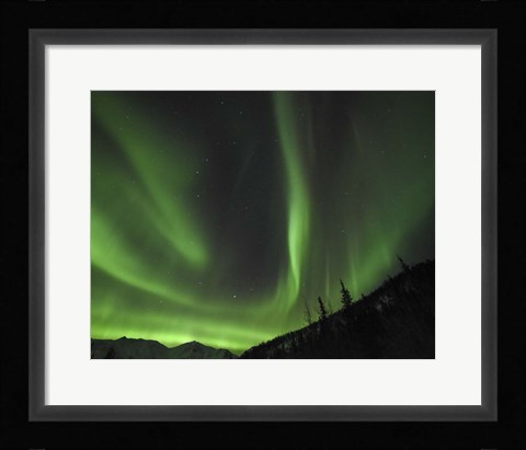 Framed Winter's Night Sky Print