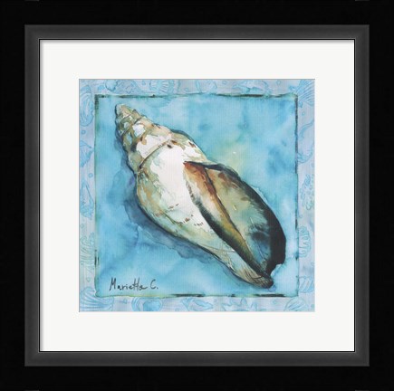 Framed Shell 2 Print
